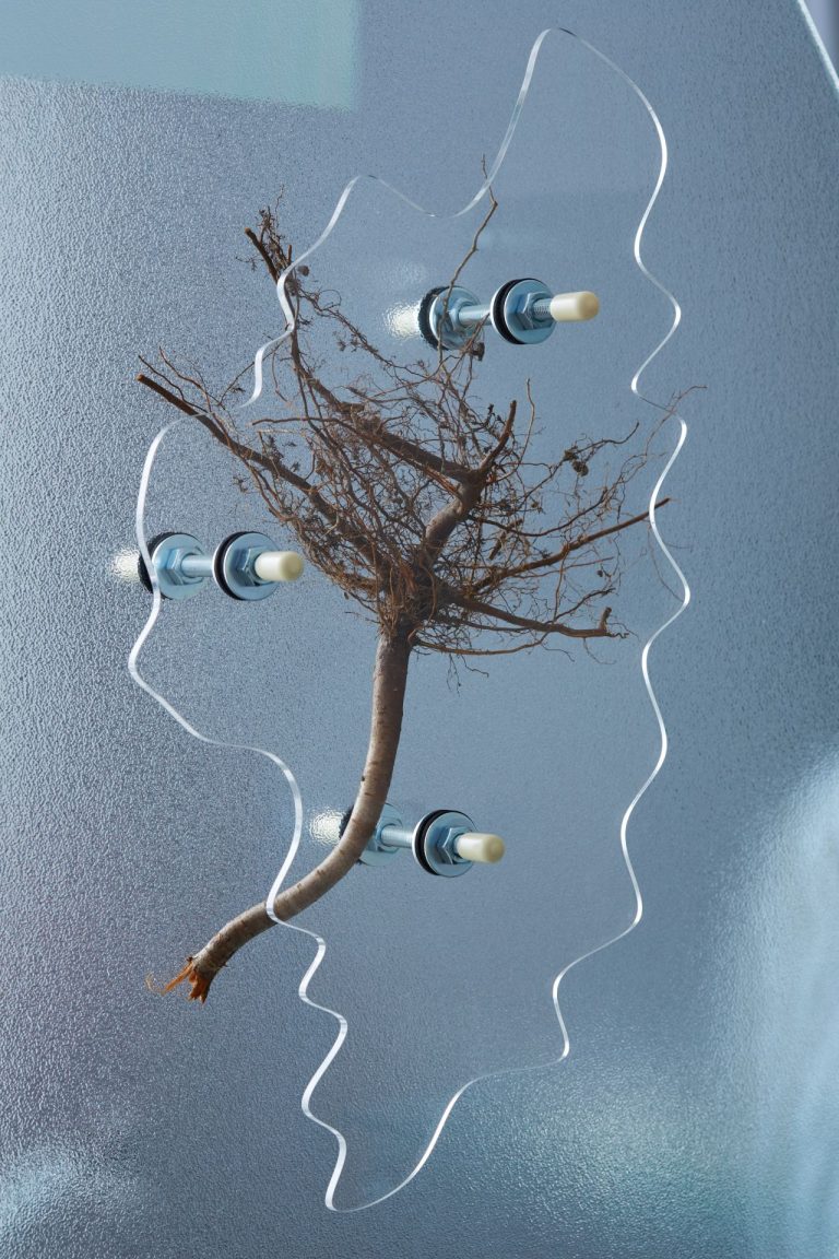 HAMJA AHSAN, I DON’T BELONG HERE أنا لا أنتمي الى هنا